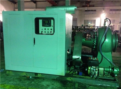 太阳成集团tyc33455cc(中国)有限公司泵